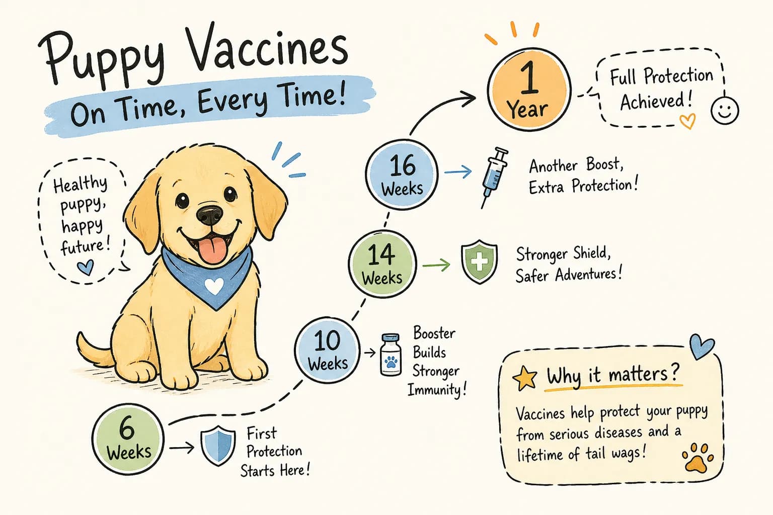 Complete puppy vaccine schedule: 6 weeks to 1 year