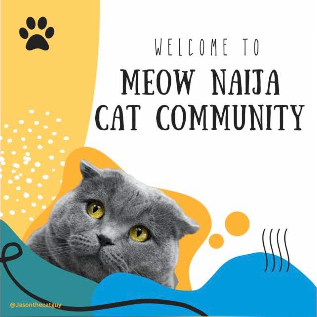 My Naija Cat Community